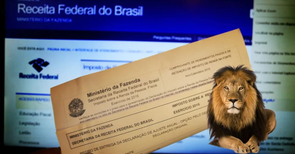 Cuidados na declaração do Imposto de Renda (Foto: Internet)